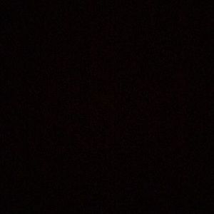 Meet your Posher, Ray